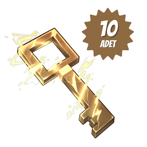 10x Şimşek Anahtarı